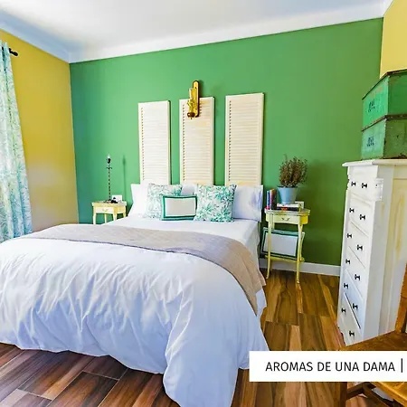 Oleholidays Aromas De Una Dama Marbella