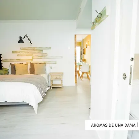 Oleholidays Aromas De Una Dama *